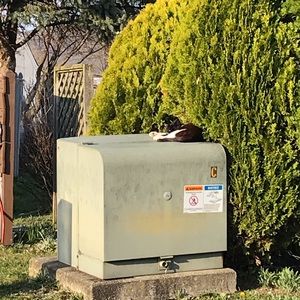 Meet your Posher, Makenzie